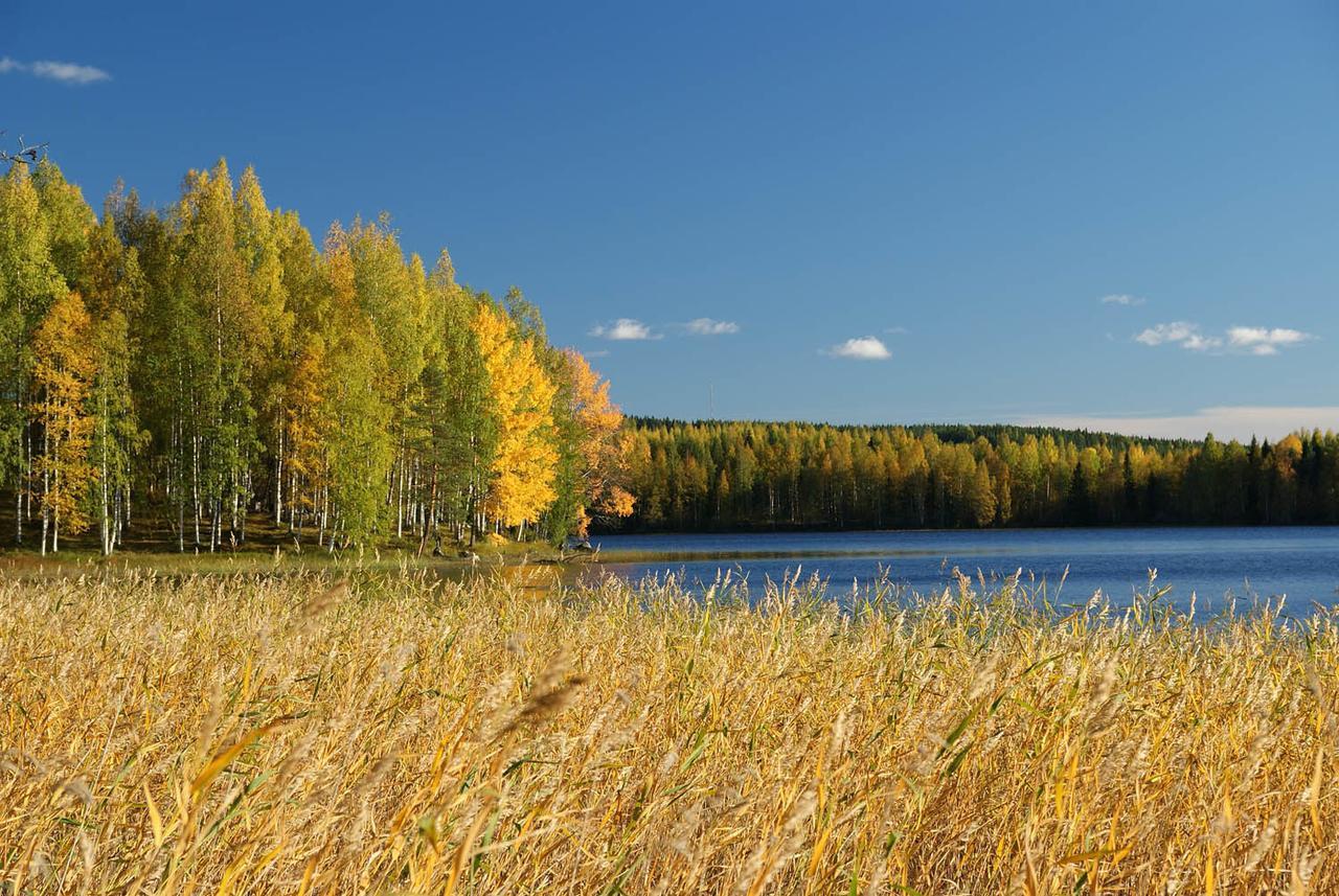 Ik Hotel & Camping Keuruu Kültér fotó
